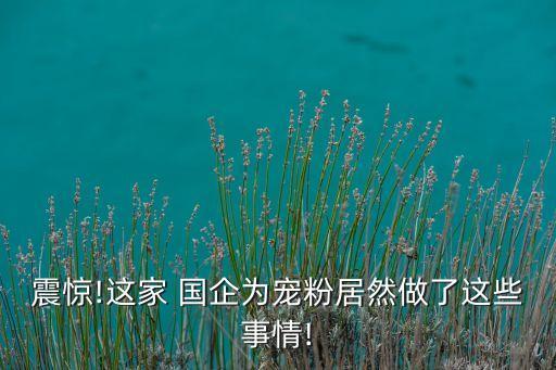 震驚!這家 國企為寵粉居然做了這些事情!