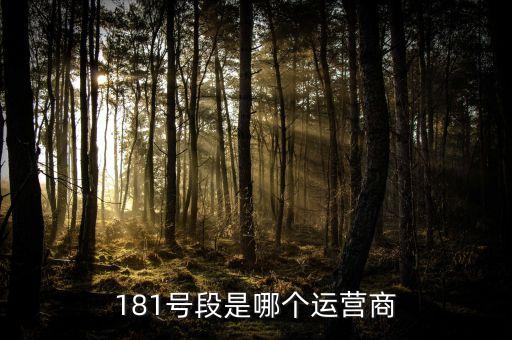 181號(hào)段是哪個(gè)運(yùn)營(yíng)商