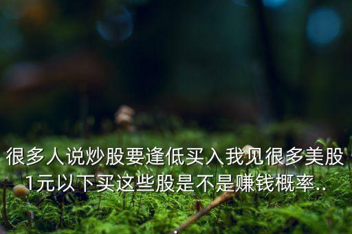 很多人說(shuō)炒股要逢低買入我見(jiàn)很多美股1元以下買這些股是不是賺錢概率...