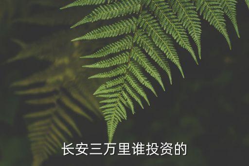 長(zhǎng)安三萬里誰投資的
