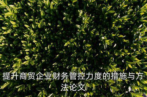 提升商貿(mào)企業(yè)財務(wù)管控力度的措施與方法論文