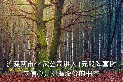 滬深兩市44家公司進(jìn)入1元股陣營(yíng)樹立信心是提振股價(jià)的根本