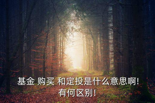 基金購買和定投的區(qū)別,基金a類和c類的區(qū)別哪個(gè)適合定投