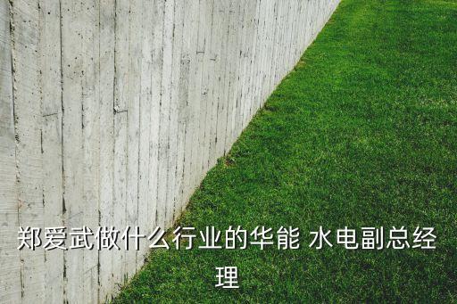 鄭愛(ài)武做什么行業(yè)的華能 水電副總經(jīng)理