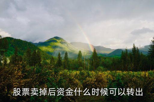  股票賣(mài)掉后資金什么時(shí)候可以轉(zhuǎn)出