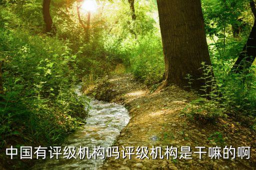 中國(guó)有評(píng)級(jí)機(jī)構(gòu)嗎評(píng)級(jí)機(jī)構(gòu)是干嘛的啊