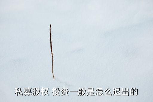 私募股權 投資一般是怎么退出的