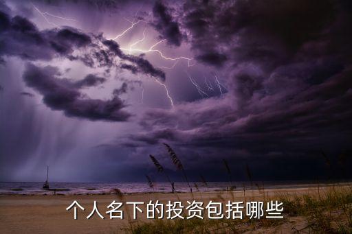 個(gè)人投資者分類