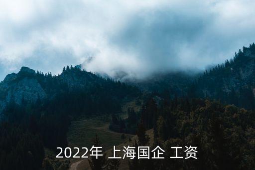 2022年 上海國企 工資