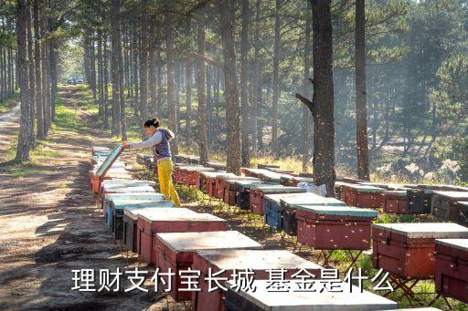 理財支付寶長城 基金是什么