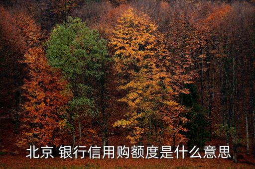  北京 銀行信用購額度是什么意思