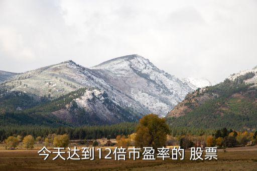 今天達到12倍市盈率的 股票