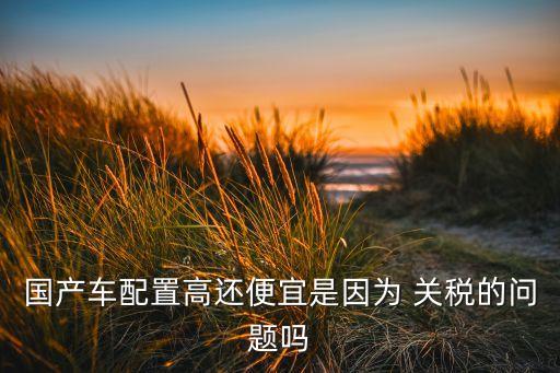 國產(chǎn)車配置高還便宜是因為 關(guān)稅的問題嗎