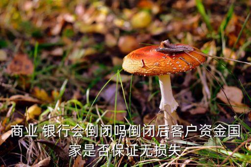 商業(yè) 銀行會(huì)倒閉嗎倒閉后客戶資金國(guó)家是否保證無(wú)損失