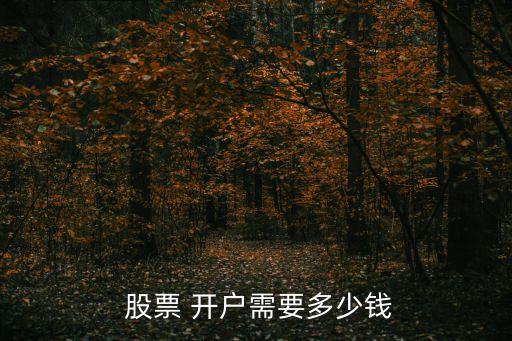  股票 開(kāi)戶需要多少錢