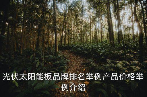 光伏太陽能板品牌排名舉例產(chǎn)品價格舉例介紹