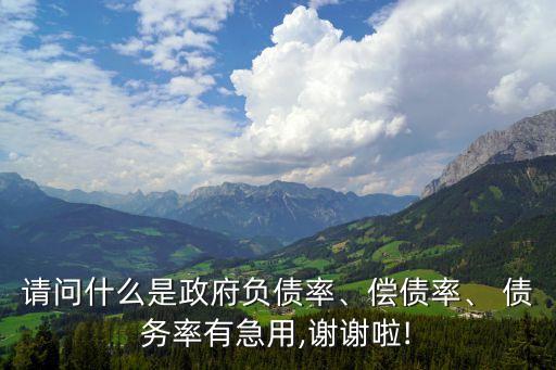 請問什么是政府負(fù)債率、償債率、 債務(wù)率有急用,謝謝啦!