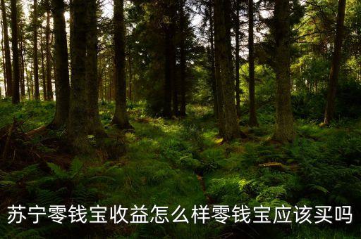 蘇寧零錢寶收益怎么樣零錢寶應該買嗎