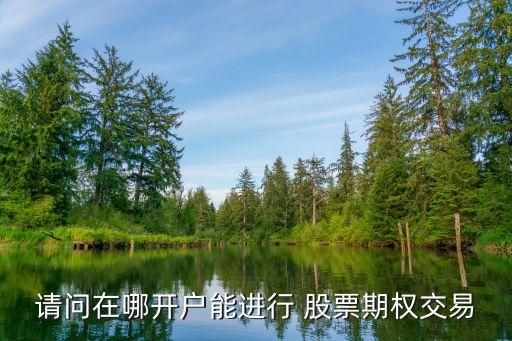 請問在哪開戶能進行 股票期權(quán)交易