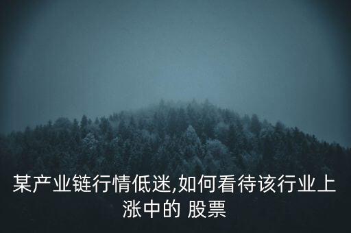 某產業(yè)鏈行情低迷,如何看待該行業(yè)上漲中的 股票