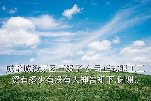 成都城投集團(tuán)三級(jí)子 公司正式職工工資有多少有沒有大神告知下,謝謝...