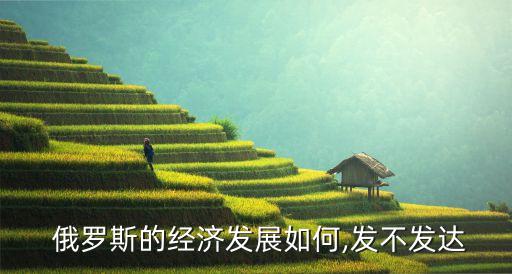  俄羅斯的經(jīng)濟發(fā)展如何,發(fā)不發(fā)達