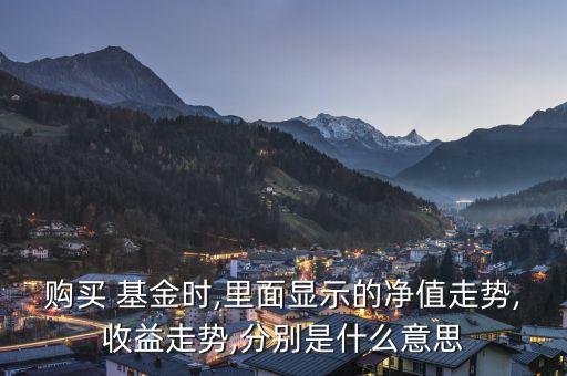 購買 基金時,里面顯示的凈值走勢,收益走勢,分別是什么意思