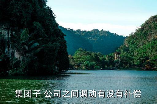 集團(tuán)子 公司之間調(diào)動(dòng)有沒有補(bǔ)償