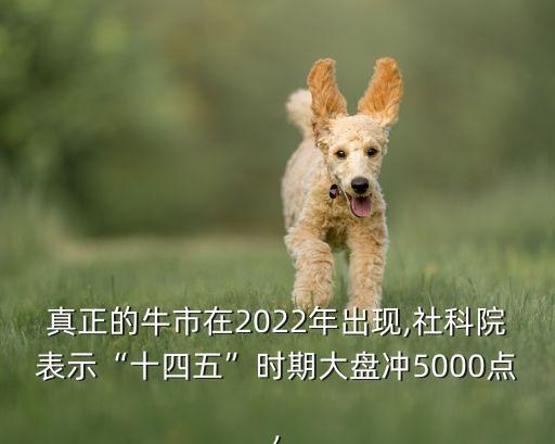 真正的牛市在2022年出現(xiàn),社科院表示“十四五”時(shí)期大盤(pán)沖5000點(diǎn),