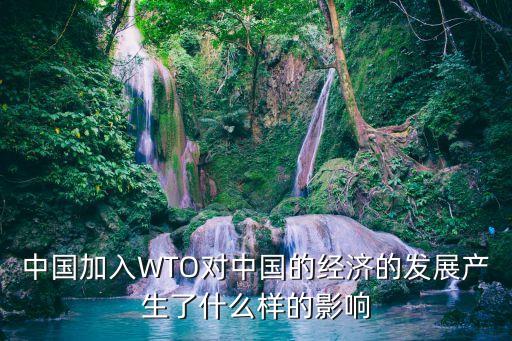中國加入WTO對中國的經(jīng)濟(jì)的發(fā)展產(chǎn)生了什么樣的影響