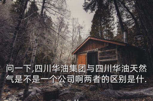 問一下,四川華油集團(tuán)與四川華油天然氣是不是一個(gè)公司啊兩者的區(qū)別是什...