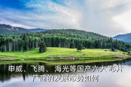 申威、飛騰、 海光等國(guó)產(chǎn)六大 芯片廠商的發(fā)展態(tài)勢(shì)如何