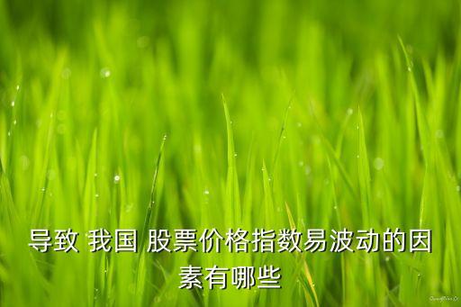 導(dǎo)致 我國 股票價格指數(shù)易波動的因素有哪些
