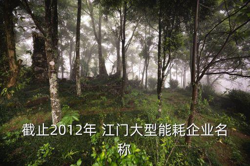 截止2012年 江門(mén)大型能耗企業(yè)名稱(chēng)