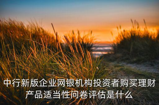中行新版企業(yè)網(wǎng)銀機(jī)構(gòu)投資者購(gòu)買理財(cái)產(chǎn)品適當(dāng)性問(wèn)卷評(píng)估是什么