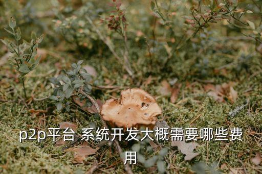 p2p平臺 系統(tǒng)開發(fā)大概需要哪些費(fèi)用