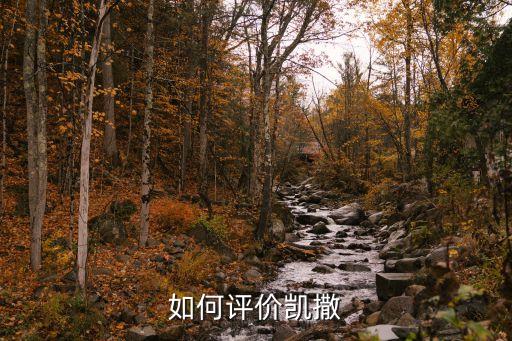 如何評價(jià)凱撒