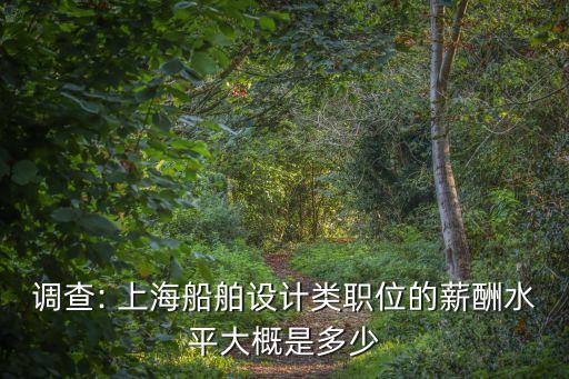 調(diào)查: 上海船舶設(shè)計(jì)類職位的薪酬水平大概是多少