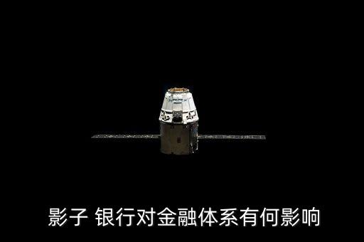  影子 銀行對金融體系有何影響