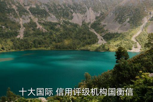 大公信用軟件有限公司,鄭州捷誠信用服務有限公司