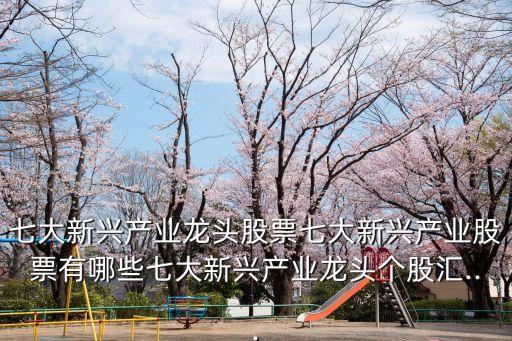 七大新興產業(yè)龍頭股票七大新興產業(yè)股票有哪些七大新興產業(yè)龍頭個股匯...