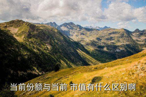 當(dāng)前份額與當(dāng)前 市值有什么區(qū)別啊