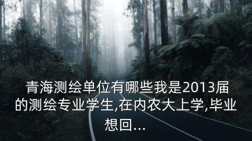 青海地礦集團