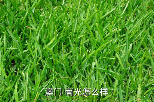 澳門 南光怎么樣