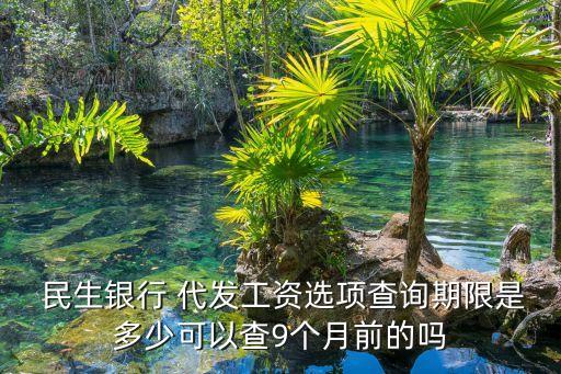  民生銀行 代發(fā)工資選項(xiàng)查詢期限是多少可以查9個月前的嗎