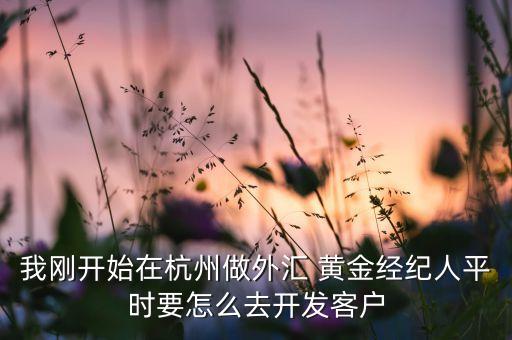 我剛開始在杭州做外匯 黃金經(jīng)紀(jì)人平時(shí)要怎么去開發(fā)客戶