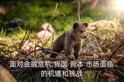 經(jīng)濟調(diào)整中的中國經(jīng)濟增長與資本市場