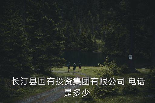  長汀縣國有投資集團(tuán)有限公司 電話是多少