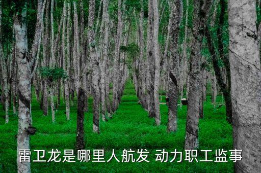 雷衛(wèi)龍是哪里人航發(fā) 動(dòng)力職工監(jiān)事