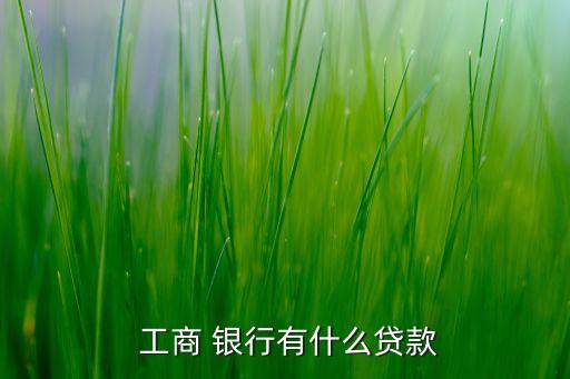 工商銀行開展的業(yè)務(wù)